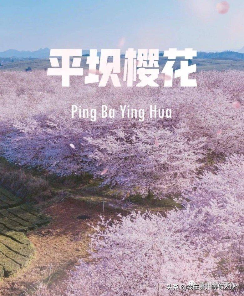 荨麻疹的症状有哪些，该如何预防？游戏画面