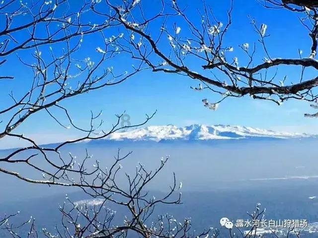 中荷人寿荣获第十七届金蝉奖“2023年度高质量发展金融机构”奖