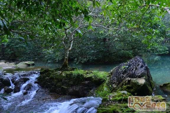 马骏：防范企业“假转型”需银行完善准入要求