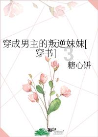 哥特舰队