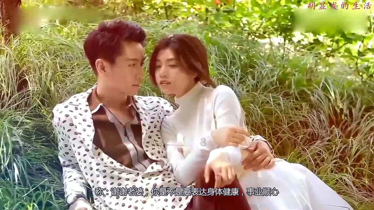 哈尼和她的宠物们