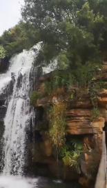 春雨直播app