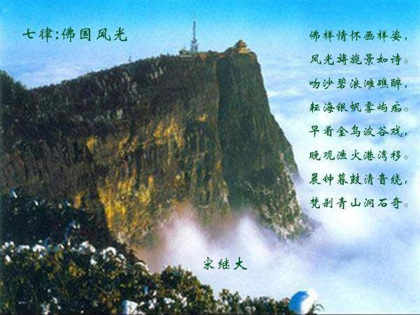 逗小猴开心系列177