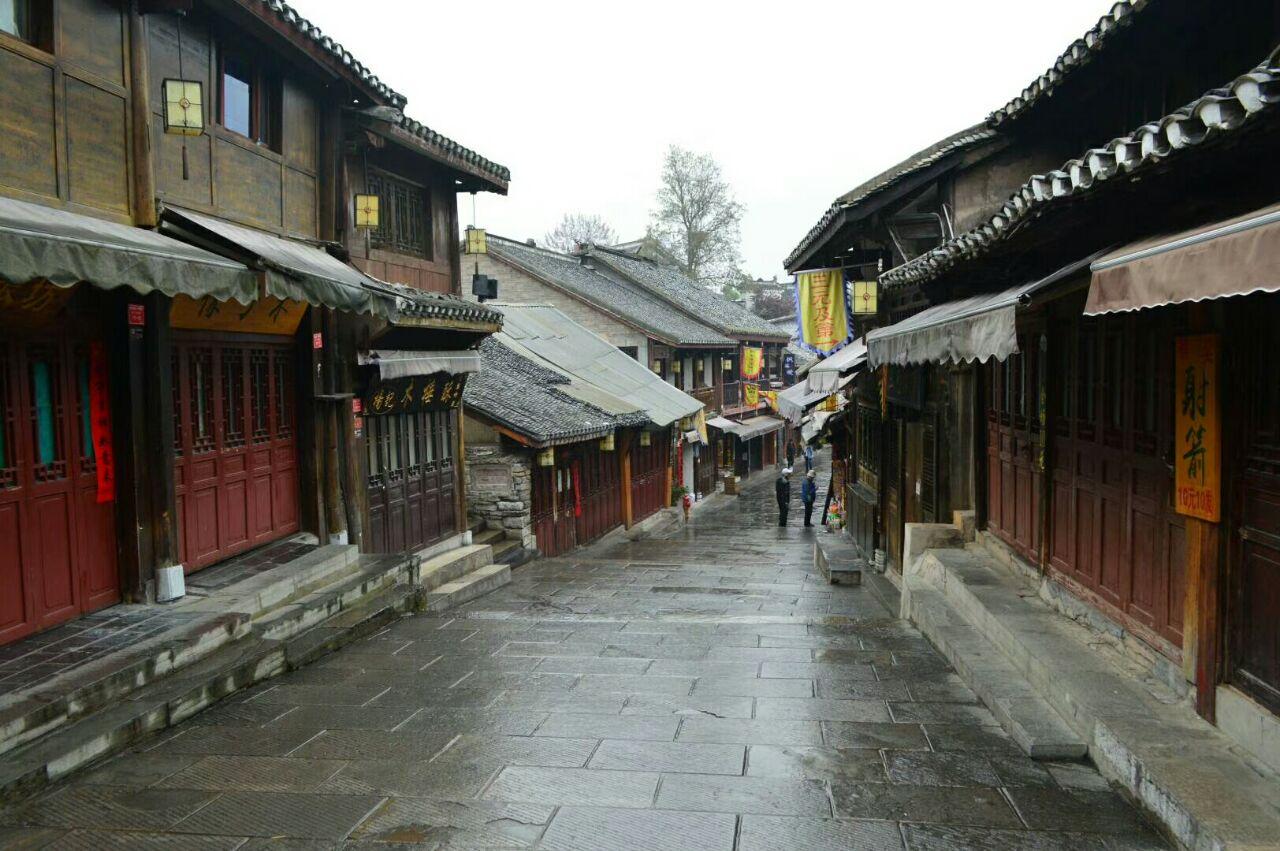 逃离月日森林